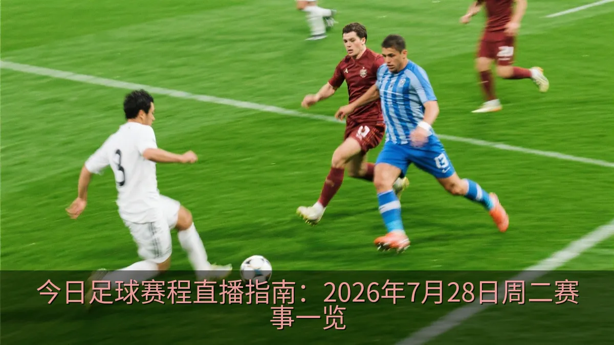 足球比赛中两队球员在绿茵场上争抢足球